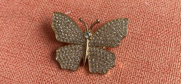 Brooches