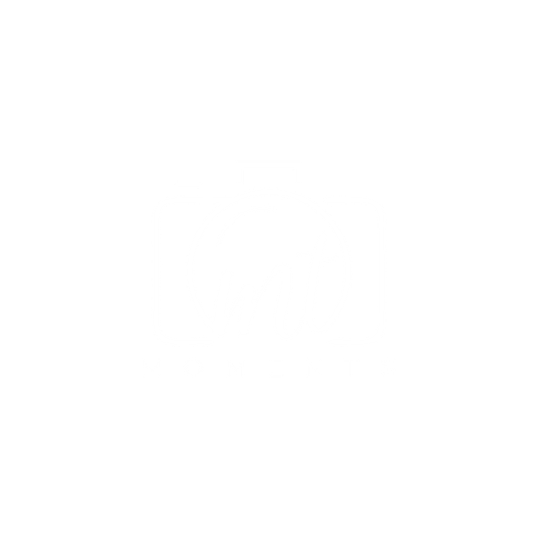 MT MOMENTS FRAMING 