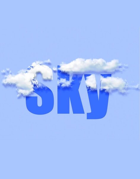 Skyface Shop 