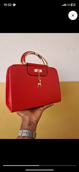Ladies handle Bag