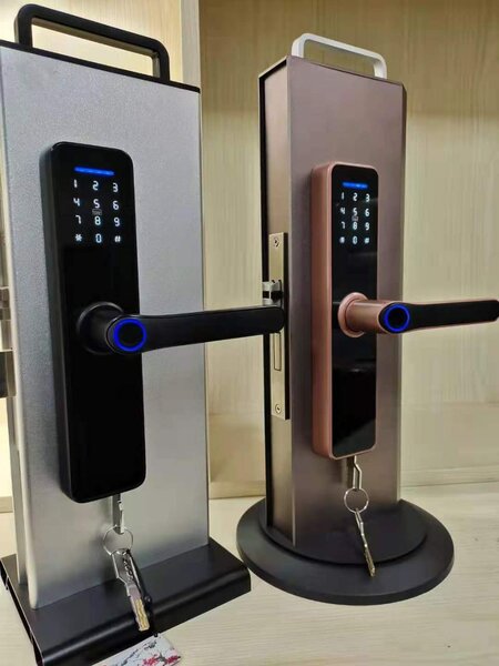 Serrure électronique intelligente DouWin