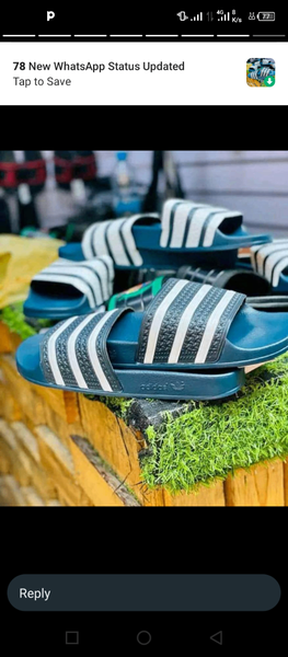 Slides