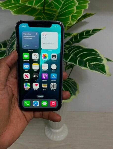 iPhone 11