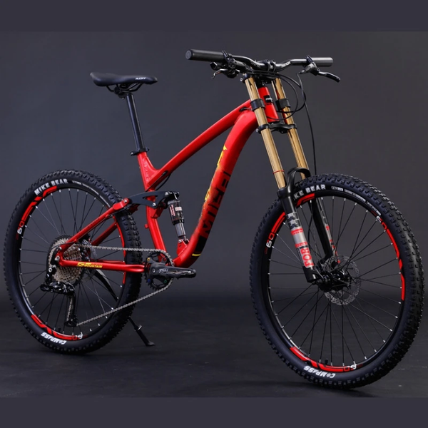 VTT de descente robuste