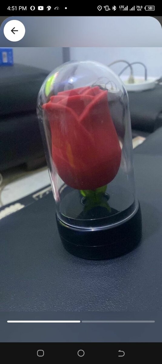 Rose High Orgasm