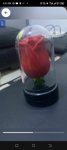 Rose High Orgasm