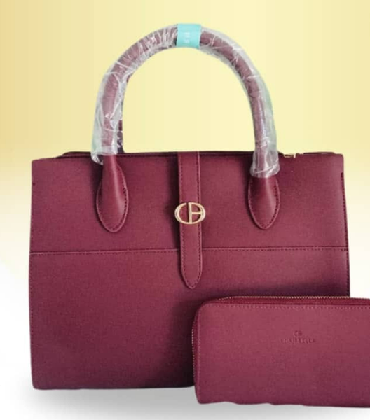 bag & purse combo