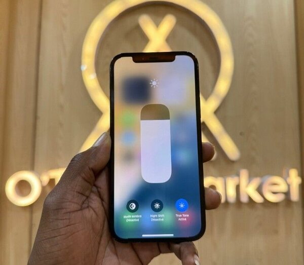 iPhone 12 Pro Max