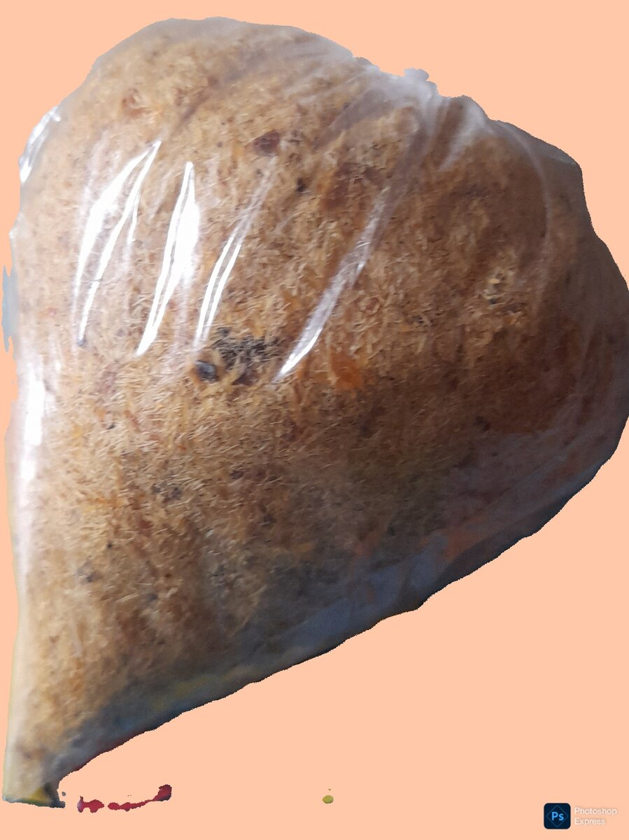 Poudre de poisson