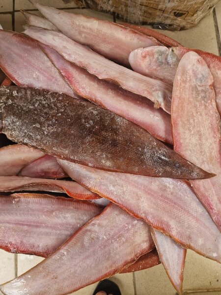 Poisson soles