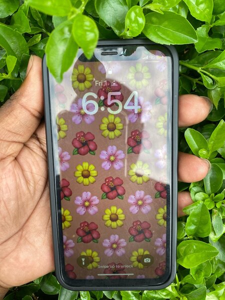 iPhone X 256GB