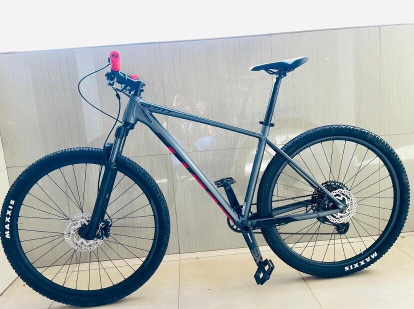 Vélo pour adultes