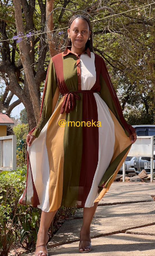 long sleeve dress