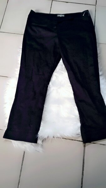 Panta-cour