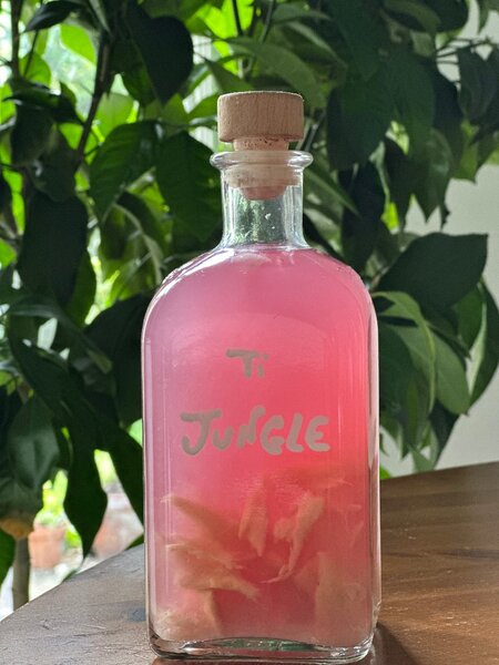 Punch ARANGÉ