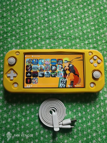 Nintendo switch lite cracké