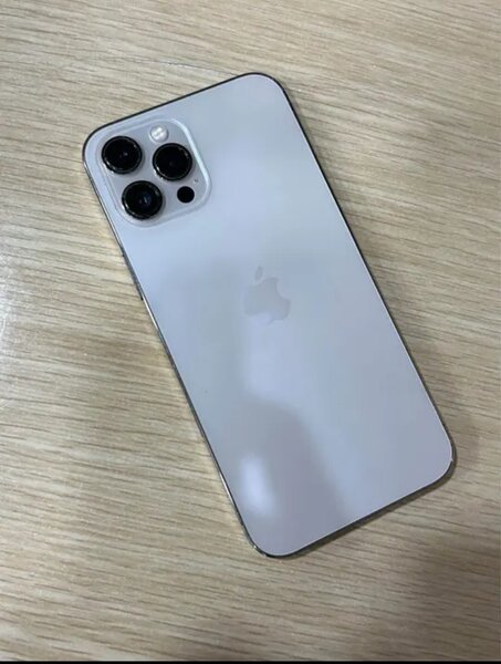 iPhone 13 Pro Max Argent