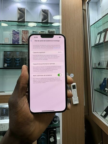 iPhone 13 Pro Max
