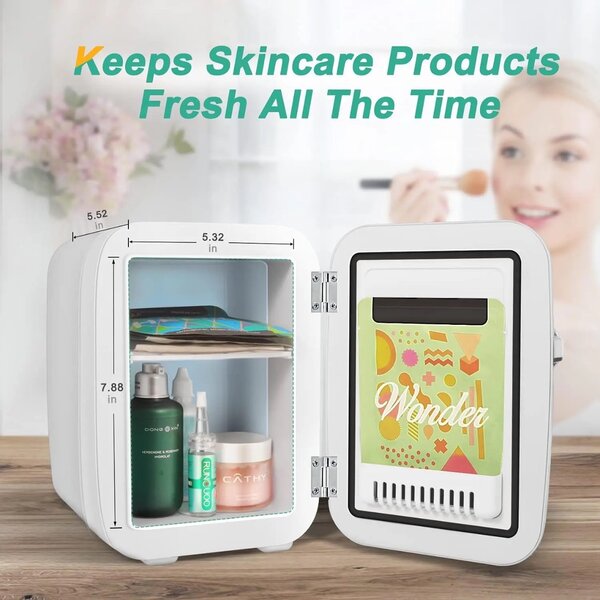 Mini frigo pour la maison