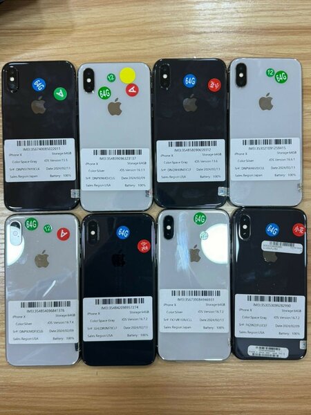 iPhone X