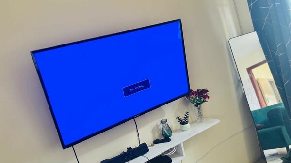 Television