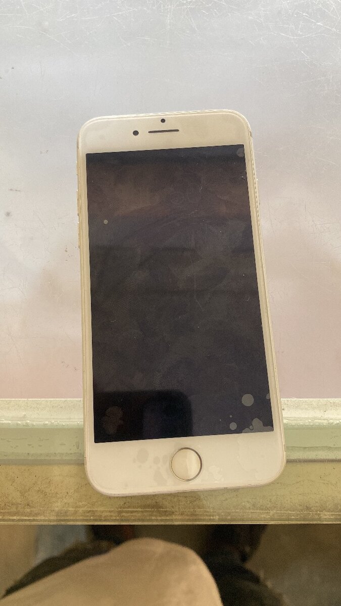 iPhone 7