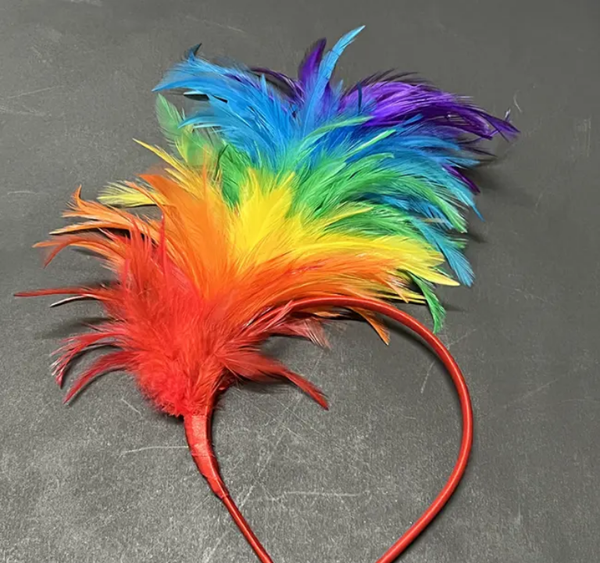Serre-tête Plumes Coloré Carnaval