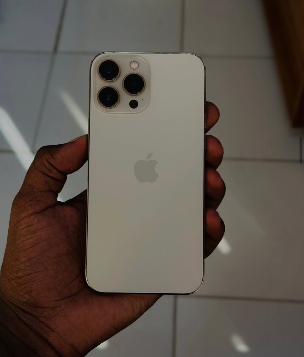 iPhone 13 Pro Max