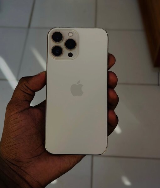 iPhone 13 Pro Max