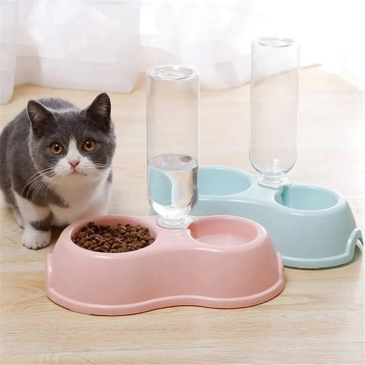 Distributeur Automatique pour Animaux