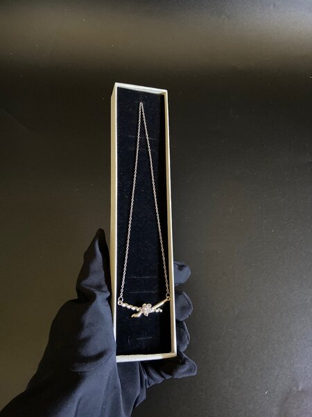 Trendy necklace
