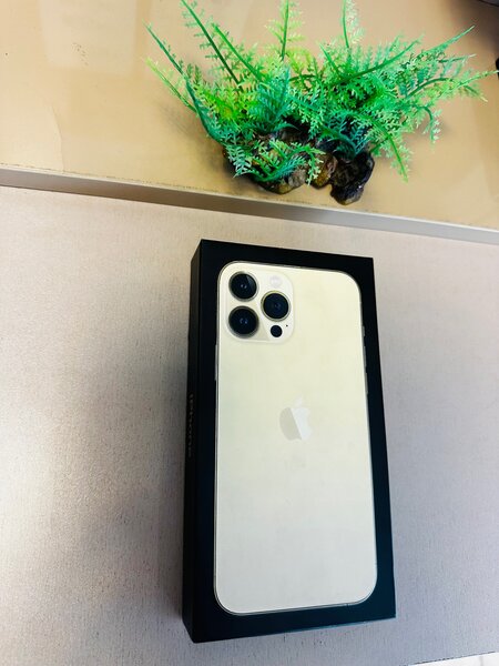 iPhone 13 Promax