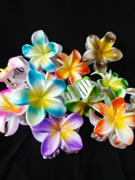 Pinces à cheveux fleurs colorées