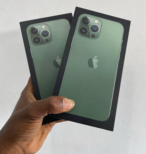 iPhone 13 Pro Max