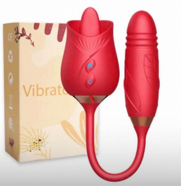 Stimulateur Érotique 10 Modes