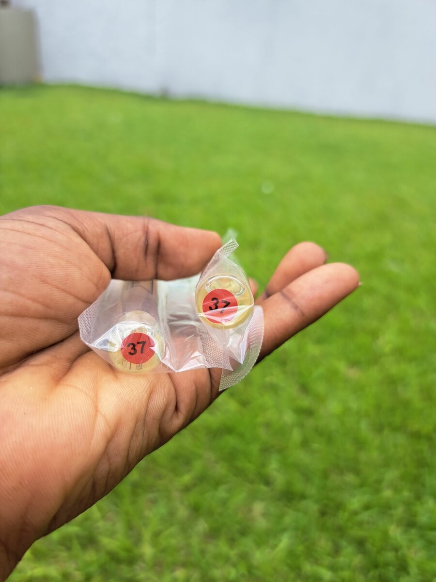 Essence de parfum