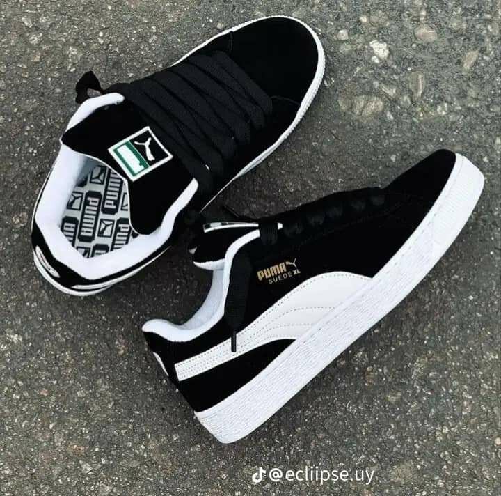 Puma xl