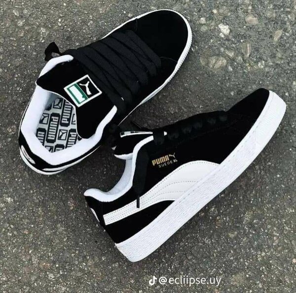 Puma xl