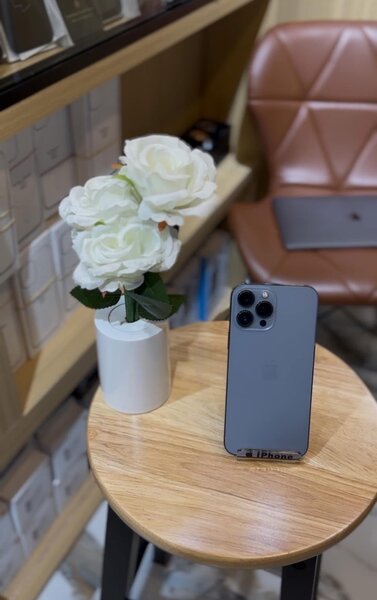 iPhone 13pro