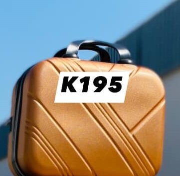 TRAVELING BAGS
