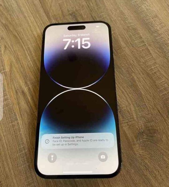 iPhone 14 pro max