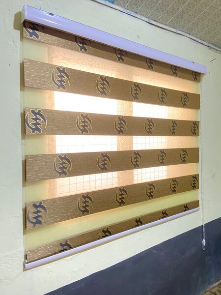 Window Blinds