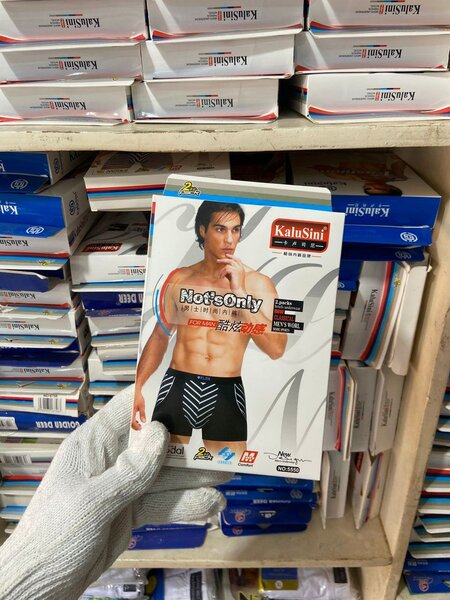 Chocoto boxer