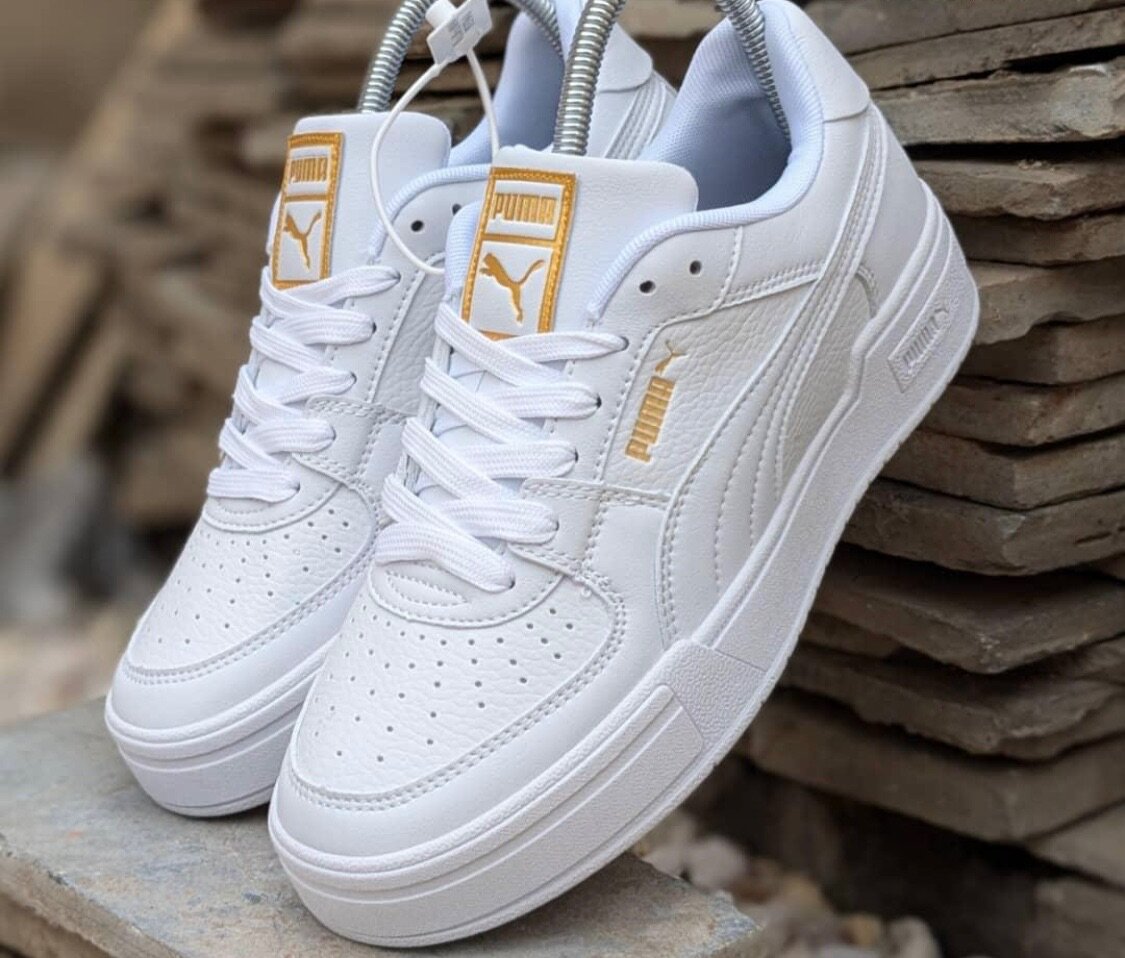 Puma