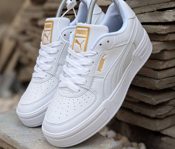 Puma