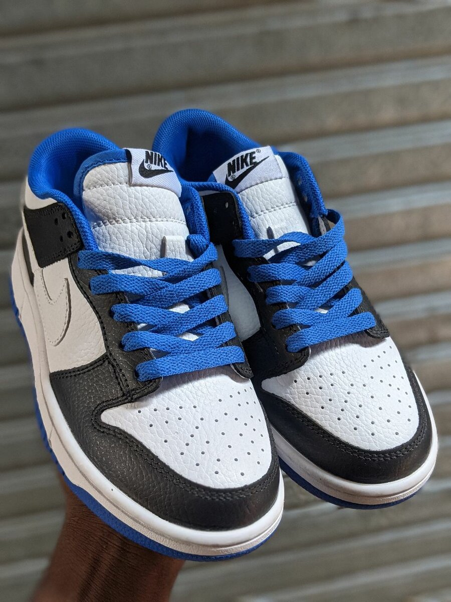 Nike sb dunk