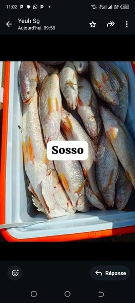 Sosso