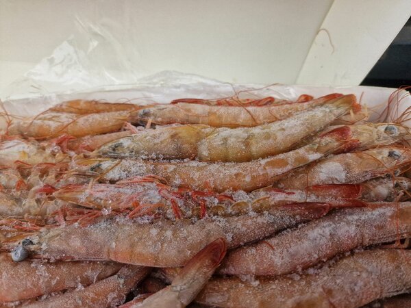 Crevettes