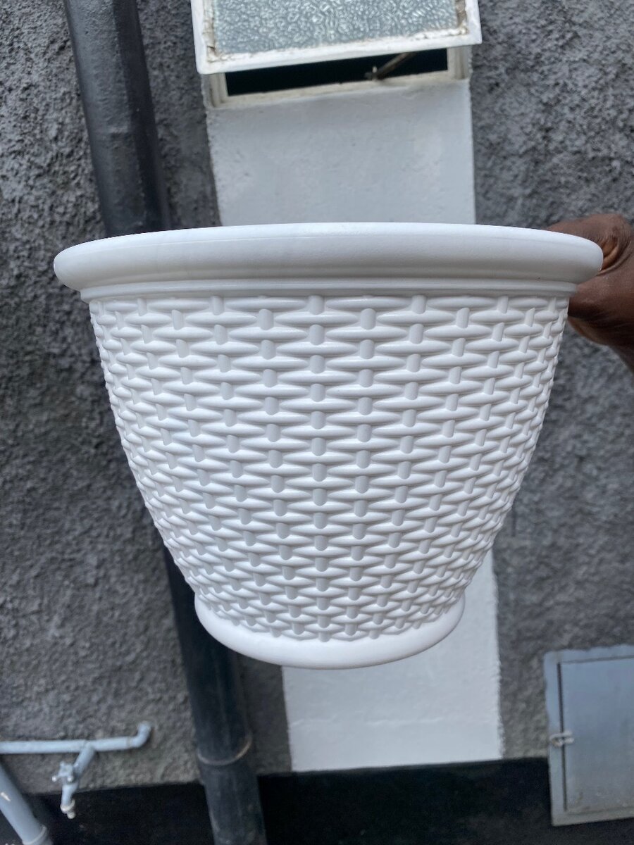 Pot flower