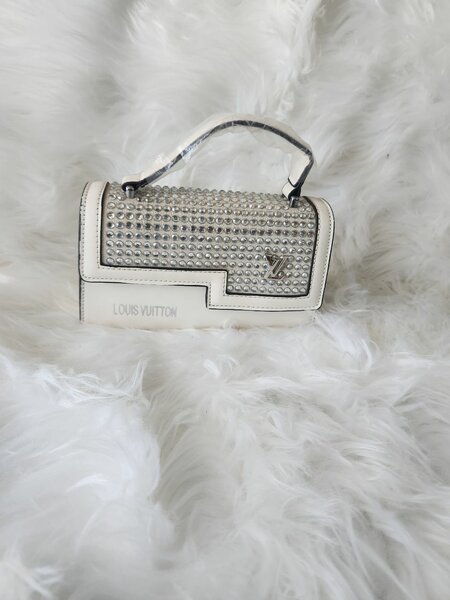 Ladies handbag